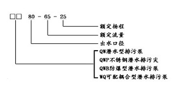 QWP不锈钢排污泵型号意义.jpg